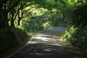 Obraz premium Winding road through a lush forest canopy, sunlight filtering through
