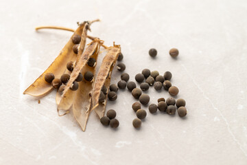 Sweet Peas' Seed Pods Broken Down to Get Seeds Out