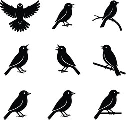 Bird silhouettes in varied poses, perched and calling, black figures, nature behavior, branch interaction, avian posture study, wildlife scene, flying and standing birds
