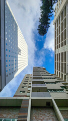 Looking up at the buildings of Yokohama under the blue sky.
