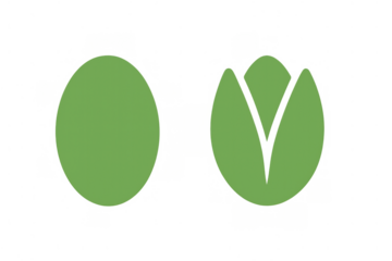 Pistachio illustration with closed and opening shell design, representing growth and transformation concept