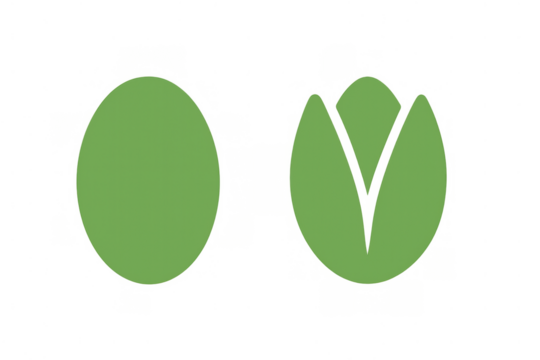 Pistachio illustration with closed and opening shell design, representing growth and transformation concept
