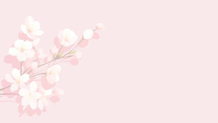 ピンク色の背景に咲く桜の枝のイラスト