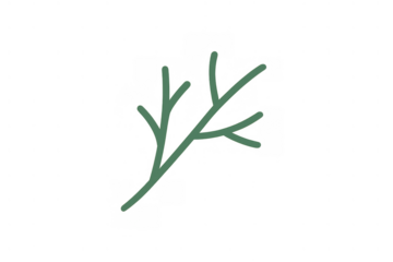 Dill sprig drawing with simple lines representing fresh herb, minimalist botanical element for food and cooking themes