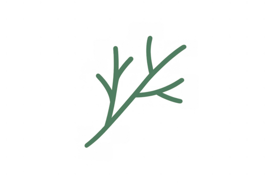Dill sprig drawing with simple lines representing fresh herb, minimalist botanical element for food and cooking themes