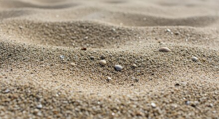 Textured Beach Sand with Seashells and Pebbles