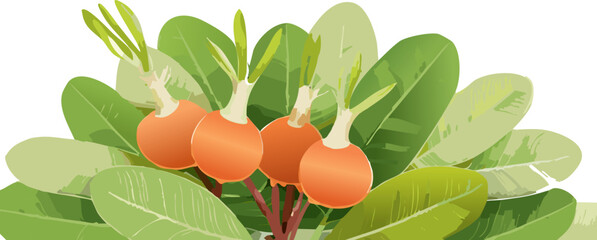 Vector Design for Clean Eating Campaigns: Carissa Carandas Representing Whole, Unadulterated Plant Food, Aligning with Modern Trends in Natural, Organic Wellness and Mindful Nutrition