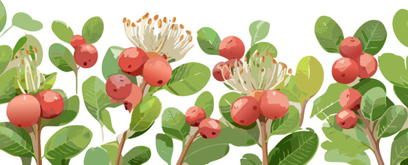 A Symbol of Resilience and Natural Bounty: Karanda Illustration Reflecting the Humanistic Value of Utilizing Local Flora for Food and Health Benefits Across Diverse Cultures.