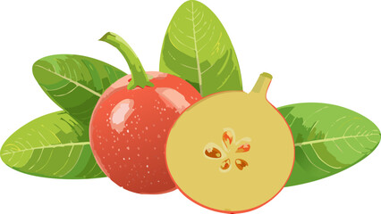 Promoting Agricultural Innovation: Using Carissa Carandas to Illustrate the Potential of Native Plants for Sustainable Farming Practices and Economic Development in Rural Communities.