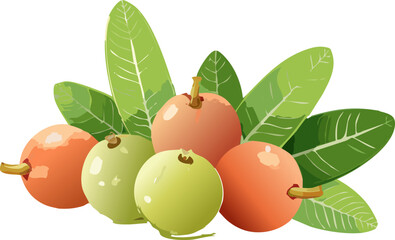 Celebrating Nature's Pharmacy: Vector Illustration of Karanda, Symbolizing the Power of Herbal Remedies and Plant-Based Wellness for a Health-Conscious Future Generation.