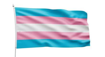 Transgender Pride Flag Waving Proudly in the Breeze Symbolizing Identity.