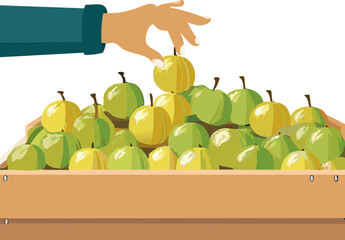 The Simple Pleasure of Freshness: Focusing on the Crisp Texture Implied by Selecting Syzygium Samarangense, Marketing the Sensory Benefits of Healthy Eating to the Youth.