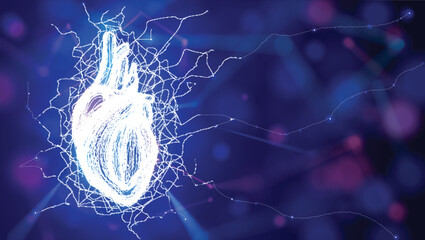 Illustration of white wavy lines and intersections forming the shape of a human heart. Modern style on a dark blue background. Used in medicine, commerce, industry, and education.