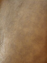 Real leather surface, processed genuine leather