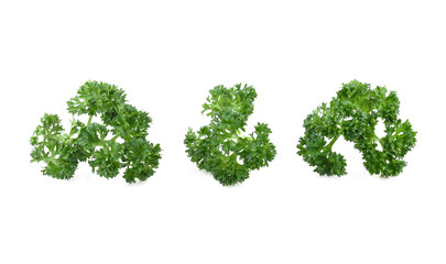 parsley leaves isolated on white background