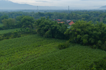 Stunning aerial view of vast green fields and lush tropical landscape, with a majestic hazy volcano mountain in the background under a cloudy sky.