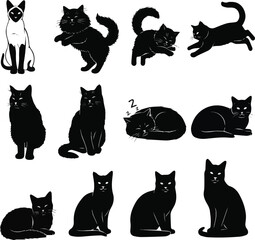 KINDS OF DIFFERENT CAT VECTOR ART SILHOEETTE WITH WHITE BACKGROUND