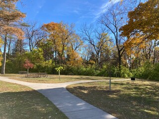 park in autumn