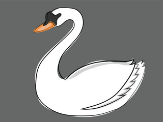 Swan in continuous line drawing