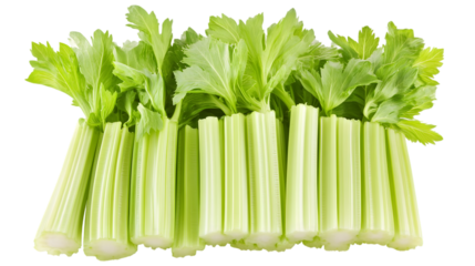 A close up shot showing a bunch of fresh celery stalks with green leaves on a black background in a studio