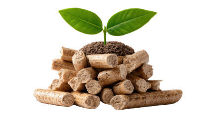 Eco-Friendly Foundation: A symbol of environmental responsibility, depicting wooden pellets supporting a vibrant seedling with fresh green leaves.