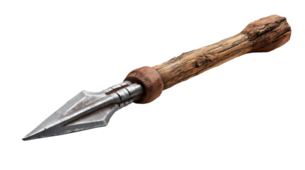 Ancient Spear Artifact: A meticulously crafted spearhead artifact showcases the timeless design. The weapon stands as a testament to craftsmanship and history.