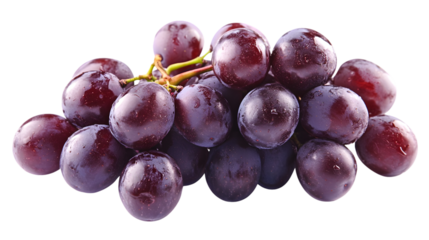 A close up shot of a cluster of dark purple grapes with water droplets on a black background