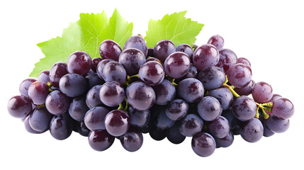 Close up shot of a bunch of dark purple grapes with green leaves on a black background in studio light