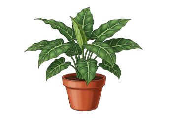 Fototapeta premium Healthy green indoor potted plant with lush leaves isolated on transparent background