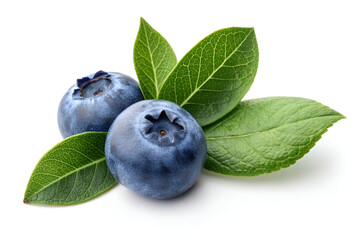 blueberries isolated on white