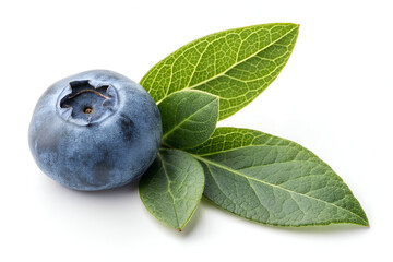 blueberries on white background