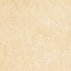 Old Paper texture. vintage paper background or texture; brown paper texture