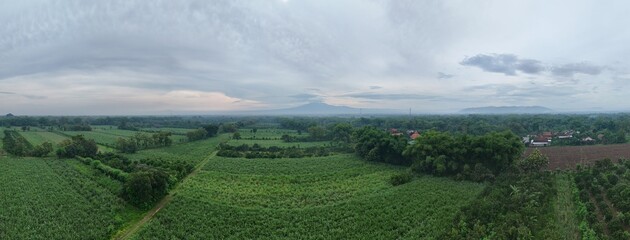 Wide panoramic aerial view of vast green fields and tropical farmlands surrounding a small village, with a hazy mountain range visible on the distant horizon under a cloudy sky.