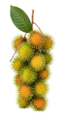 A vertical cluster of ripe rambutan fruits still attached to a stem with a single broad green leaf at the top, white background isolated