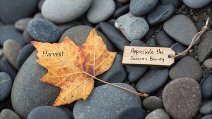 Single golden autumn leaf rests on smooth stones with an inscription of seasonal bounty