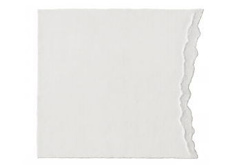 Blank torn paper sheet with ragged edges and rough texture, empty cardboard fragment for note or message, transparent background