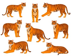 Fototapeta premium Cartoon tigers in various poses against a white background, vibrant orange & black stripes