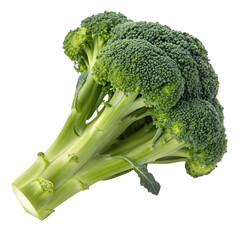 Broccoli isolated on white background