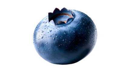 Single blueberry covered in water droplets against white background