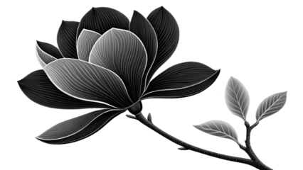 Monochrome illustration of a magnolia flower with detailed petals and branch on black background