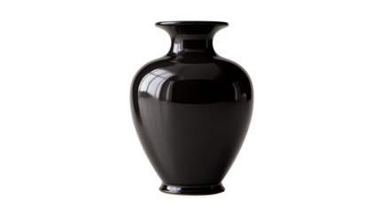 Glossy Black Ceramic Vase with Elegant Shape