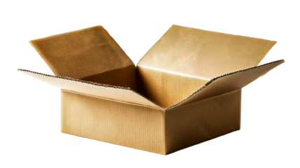 Open cardboard box with flaps lifted on white