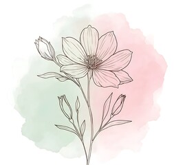 “Delicate floral line art with soft pink and green watercolor background, creating an elegant and minimal botanical aesthetic.”