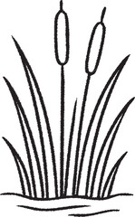 Cattails emerging from marsh water