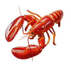 Delicious Lobster Close-up: The image features a fresh lobster, showcasing its vibrant red shell. A culinary delight, ready to be enjoyed. 