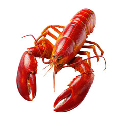 Red Lobster on Display: A vibrant, cooked lobster showcases its striking red shell and impressive claws, ready to be enjoyed. Captivating food lovers.