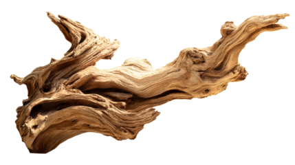 Gnarly Aged Driftwood Branch Isolated on White Background