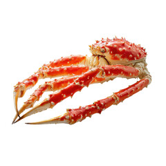 King Crab Display: The majestic king crab, showcasing its vibrant red exoskeleton and formidable claws. It is a stunning display of marine life's intricate beauty.