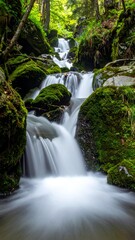 Cascading waterfall in lush forest, the water flows gently over moss-covered rocks