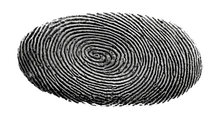 Fingerprint Detail: An intricate fingerprint, a unique testament to the individual, etched in captivating detail.